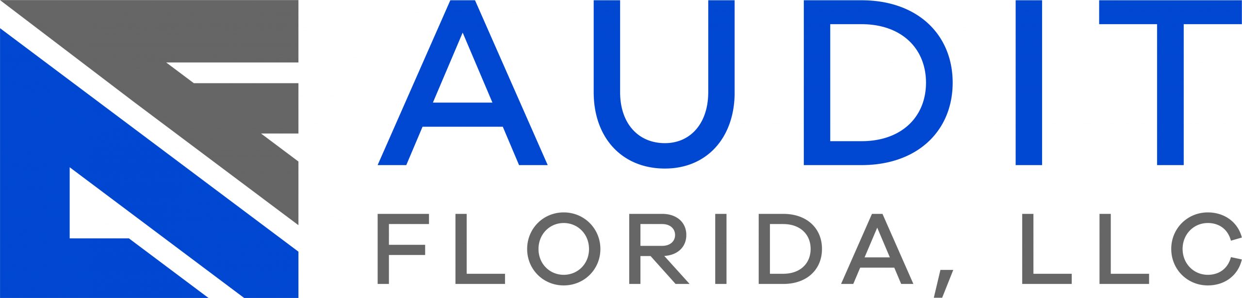 Audit Florida LLC
